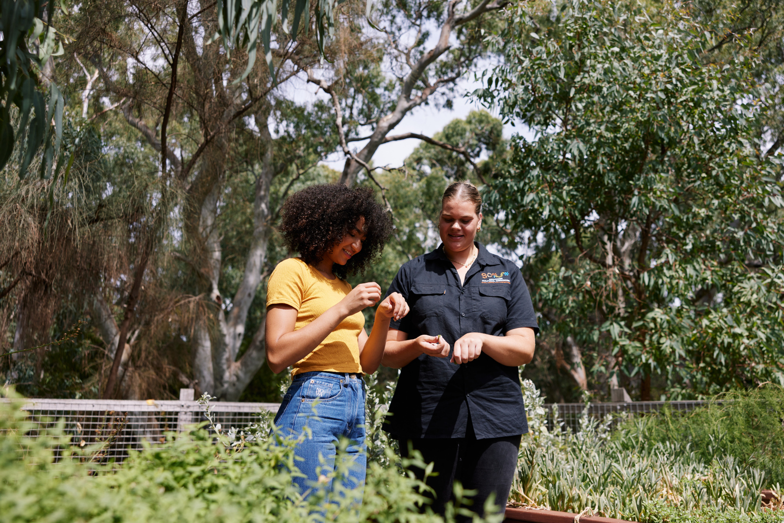 Delegate learning about native plants in the garden